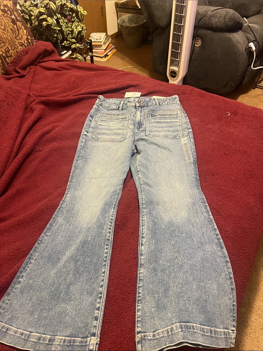 American Eagle Outfitters Light Wash Flared Jeans